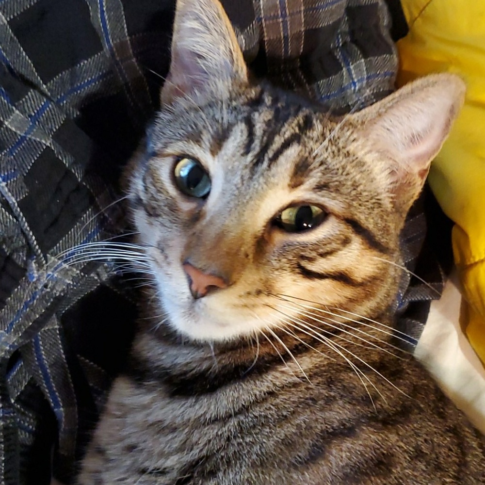 Meet your Posher, Jim